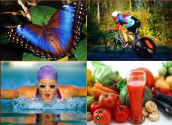 Wellness (iyi beslen iyi yaşa) burada. Beslenme ile formda kalma, dengeli beslenme, sağlıklı beslenme, doğru beslenme, iyi hisset iyi görün çözümleri. Besleyici karışım, bitkisel lif, whey protein, vitamin, mineral, nitrik oksit, omega içeren gıda takviyesi (besin takviyesi), gıda takviyeleri (besin takviyeleri). Kişiye özel beslenme ile iç beslenme çözümleri. Zorlu rejim, diyet olmadan kilo kontrol yapma, bu sayede kilo verme ve kilo alma hedeflerine ulaşmaya yardım. Cilt bakımı (cilt beslenmesi), vücut bakımı (vücut beslenmesi), saç bakımı ile dış beslenme çözümleri. Bitkisel kokulu parfüm, şampuan, bitki bazlı ürünler (bitkisel ürünler). Mlm sistemi, network marketing sistem, doğrudan satış sayesinde iş fırsatı, ek gelir, iş arayanlar, iş arıyorum diyenler için fırsat, evden çalışma, part time (yarım gün) çalışma veya full time (tüm gün) çalışma imkanı... Hepsi bu sitede, incelemeden ayrılmayın!!!